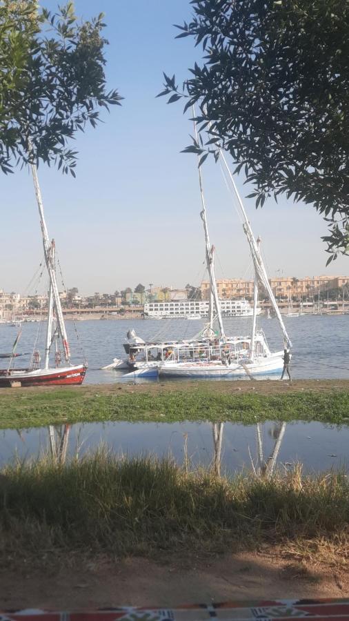 Villa Victoria Old Nile View Luxor Eksteriør billede